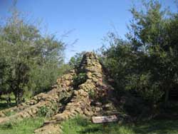 Marzo de 2008